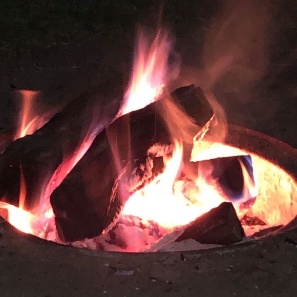 Meet your Posher, Megan - Picture 1 of 1